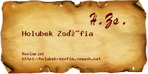 Holubek Zsófia névjegykártya